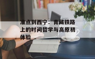 准点到西宁：青藏铁路上的时间哲学与高原初体验