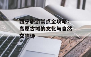 西宁旅游景点全攻略：高原古城的文化与自然交响诗