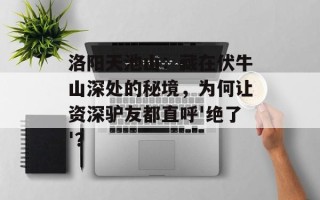 洛阳天池山：藏在伏牛山深处的秘境，为何让资深驴友都直呼'绝了'？