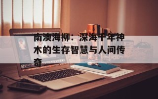 南澳海柳：深海千年神木的生存智慧与人间传奇