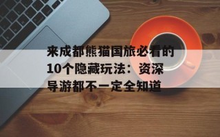 来成都熊猫国旅必看的10个隐藏玩法：资深导游都不一定全知道