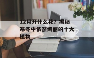 12月开什么花？揭秘寒冬中依然绚丽的十大植物