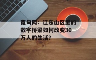 宽甸网：辽东山区里的数字桥梁如何改变30万人的生活？