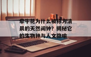 牵牛花为什么被称为清晨的天然闹钟？揭秘它的生物钟与人文隐喻