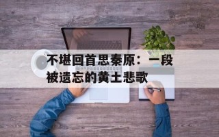 不堪回首思秦原：一段被遗忘的黄土悲歌