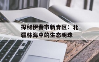 探秘伊春市新青区：北疆林海中的生态明珠