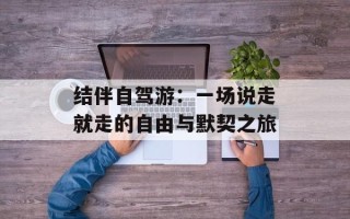 结伴自驾游：一场说走就走的自由与默契之旅