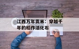江西万年贡米：穿越千年的稻作活化石
