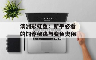 澳洲彩虹鱼：新手必看的饲养秘诀与变色奥秘