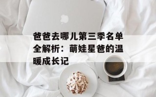 爸爸去哪儿第三季名单全解析：萌娃星爸的温暖成长记