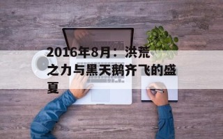 2016年8月：洪荒之力与黑天鹅齐飞的盛夏