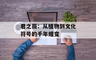 君之薇：从植物到文化符号的千年嬗变