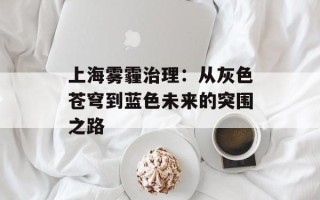 上海雾霾治理：从灰色苍穹到蓝色未来的突围之路