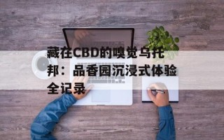 藏在CBD的嗅觉乌托邦：品香园沉浸式体验全记录