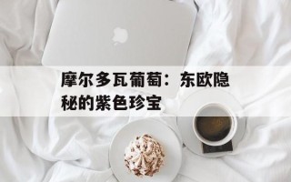 摩尔多瓦葡萄：东欧隐秘的紫色珍宝