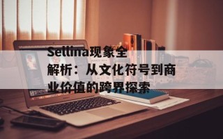 Sellina现象全解析：从文化符号到商业价值的跨界探索