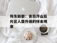 伟东新都：青岛浮山后片区人居升级的样本观察