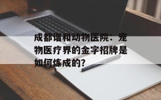 成都谐和动物医院：宠物医疗界的金字招牌是如何炼成的？