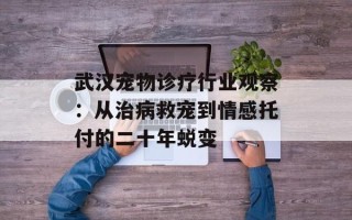 武汉宠物诊疗行业观察：从治病救宠到情感托付的二十年蜕变