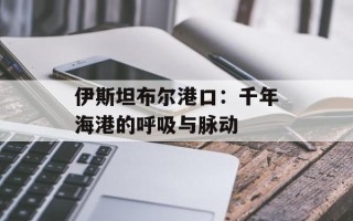 伊斯坦布尔港口：千年海港的呼吸与脉动