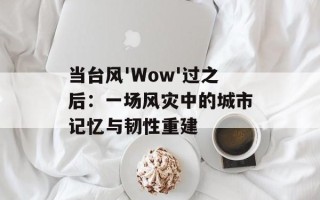 当台风'Wow'过之后：一场风灾中的城市记忆与韧性重建