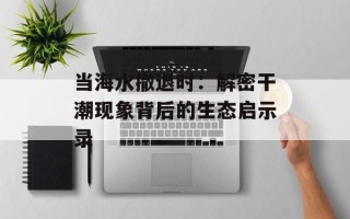 当海水撤退时：解密干潮现象背后的生态启示录