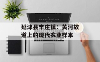 延津县丰庄镇：黄河故道上的现代农业样本