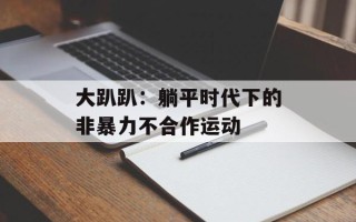 大趴趴：躺平时代下的非暴力不合作运动