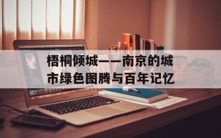 梧桐倾城——南京的城市绿色图腾与百年记忆