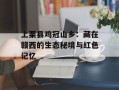 上栗县鸡冠山乡：藏在赣西的生态秘境与红色记忆