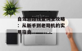 自驾游路线查询全攻略：从新手到老司机的实用指南