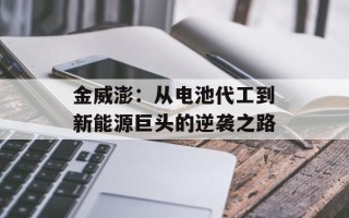 金威澎：从电池代工到新能源巨头的逆袭之路