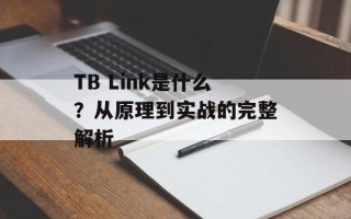 TB Link是什么？从原理到实战的完整解析