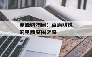 赤峰购物网：草原明珠的电商突围之路