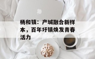 杨和镇：产城融合新样本，百年圩镇焕发青春活力