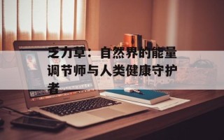 乏力草：自然界的能量调节师与人类健康守护者