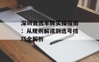 深圳自选车牌实操指南：从规则解读到选号技巧全解析