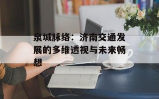 泉城脉络：济南交通发展的多维透视与未来畅想