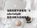 当阳光照不进角落：Underbelly的生存法则与空间政治