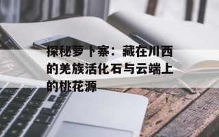 探秘萝卜寨：藏在川西的羌族活化石与云端上的桃花源
