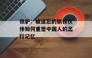 铁驴：被遗忘的钢铁伙伴如何重塑中国人的出行记忆