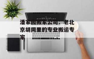 潘家园搬家公司：老北京胡同里的专业搬运专家