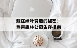 藏在绿叶背后的秘密：热带森林公园生存指南