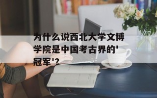 为什么说西北大学文博学院是中国考古界的'冠军'？