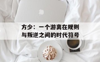 方少：一个游离在规则与叛逆之间的时代符号