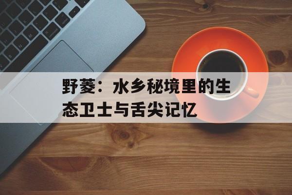 野菱：水乡秘境里的生态卫士与舌尖记忆-第1张图片-