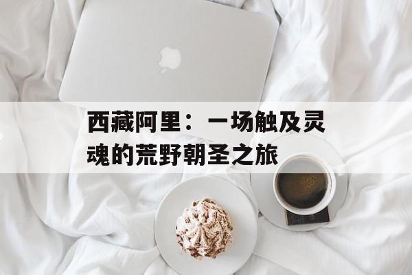 西藏阿里：一场触及灵魂的荒野朝圣之旅-第1张图片-