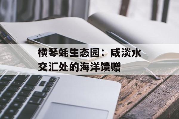 横琴蚝生态园:咸淡水交汇处的海洋馈赠-第1张图片- 横琴蚝生态园:咸淡水交汇处的海洋馈赠-第1张图片-
