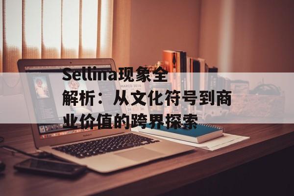 Sellina现象全解析：从文化符号到商业价值的跨界探索-第1张图片-
