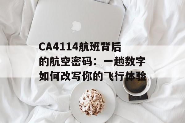 CA4114航班背后的航空密码:一趟数字如何改写你的飞行体验-第1张图片- CA4114航班背后的航空密码:一趟数字如何改写你的飞行体验-第1张图片-